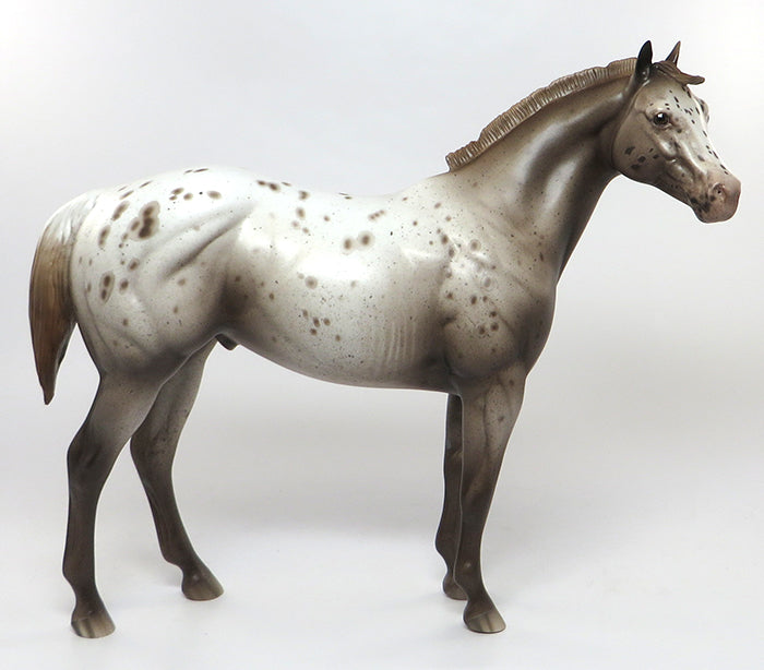 appaloosa chestnut peter stone