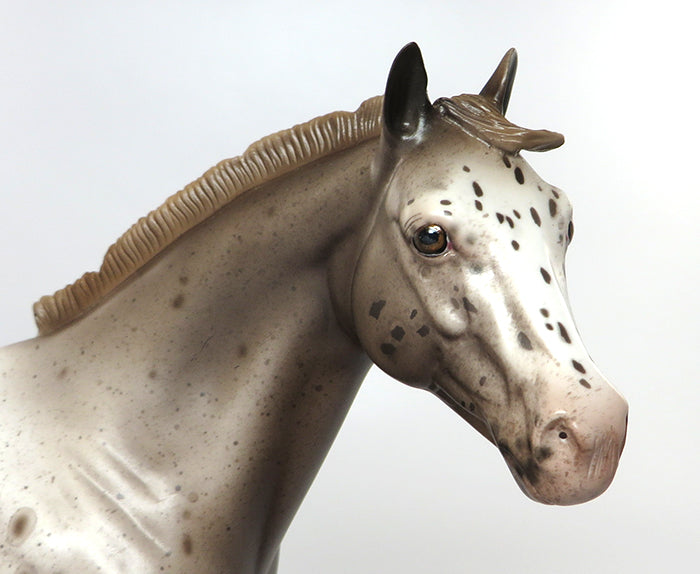 sheryl leisure and peter stone