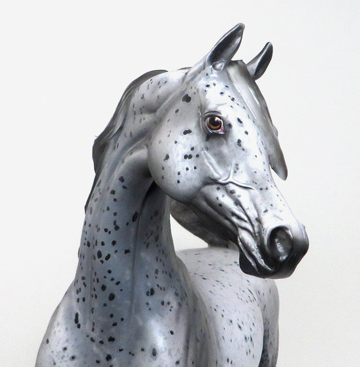 APPALOOSA