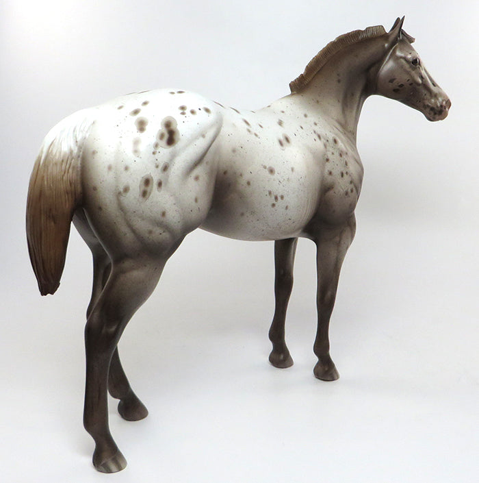chestnut appaloosa texas hold em