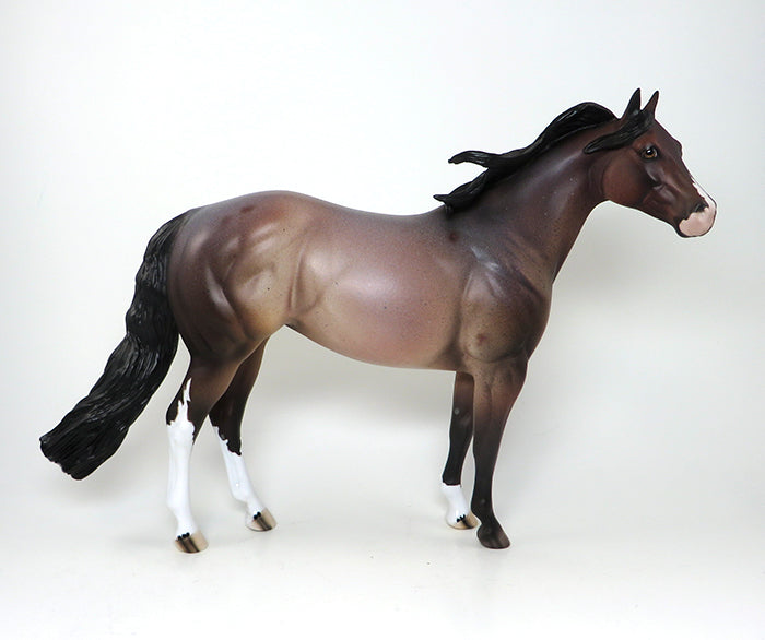 Ideal Stock Horse