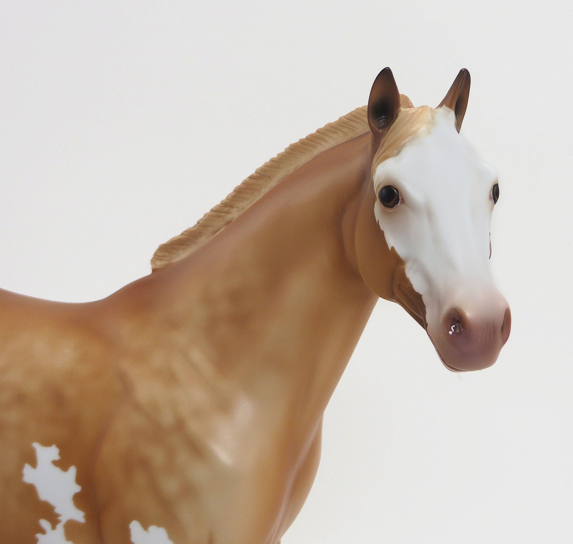 PARVARTI-OOAK Palomino Paint Stock Horse Mare 9/11
