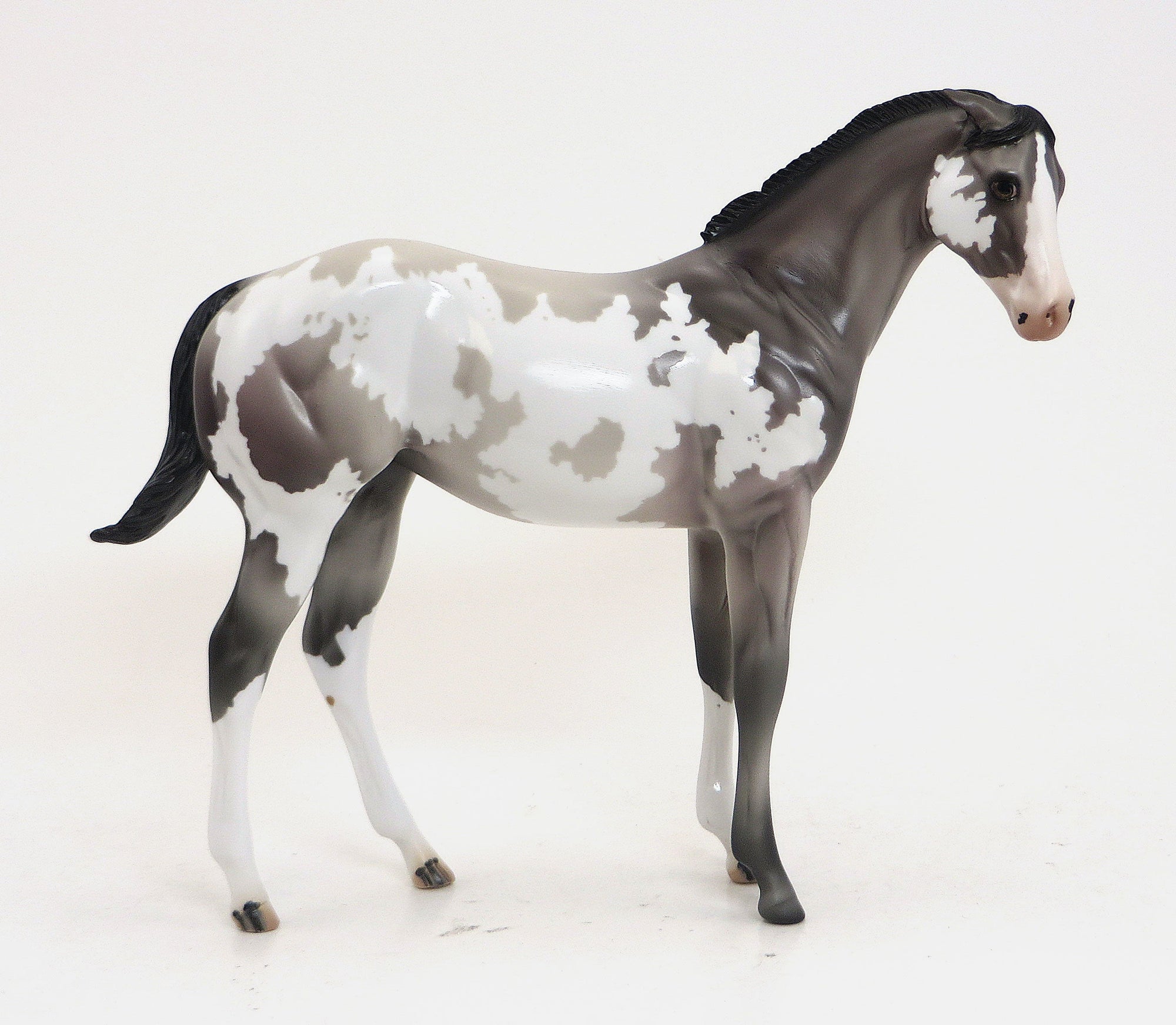 WINNIE- OOAK GREY PINTO WEANLING MODEL HORSE WITH PINNED EARS