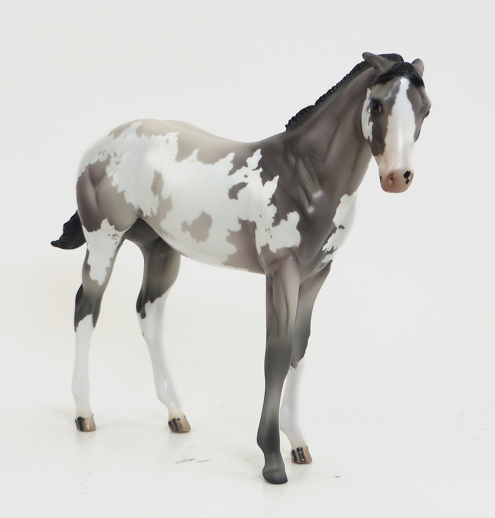 WINNIE- OOAK GREY PINTO WEANLING MODEL HORSE WITH PINNED EARS