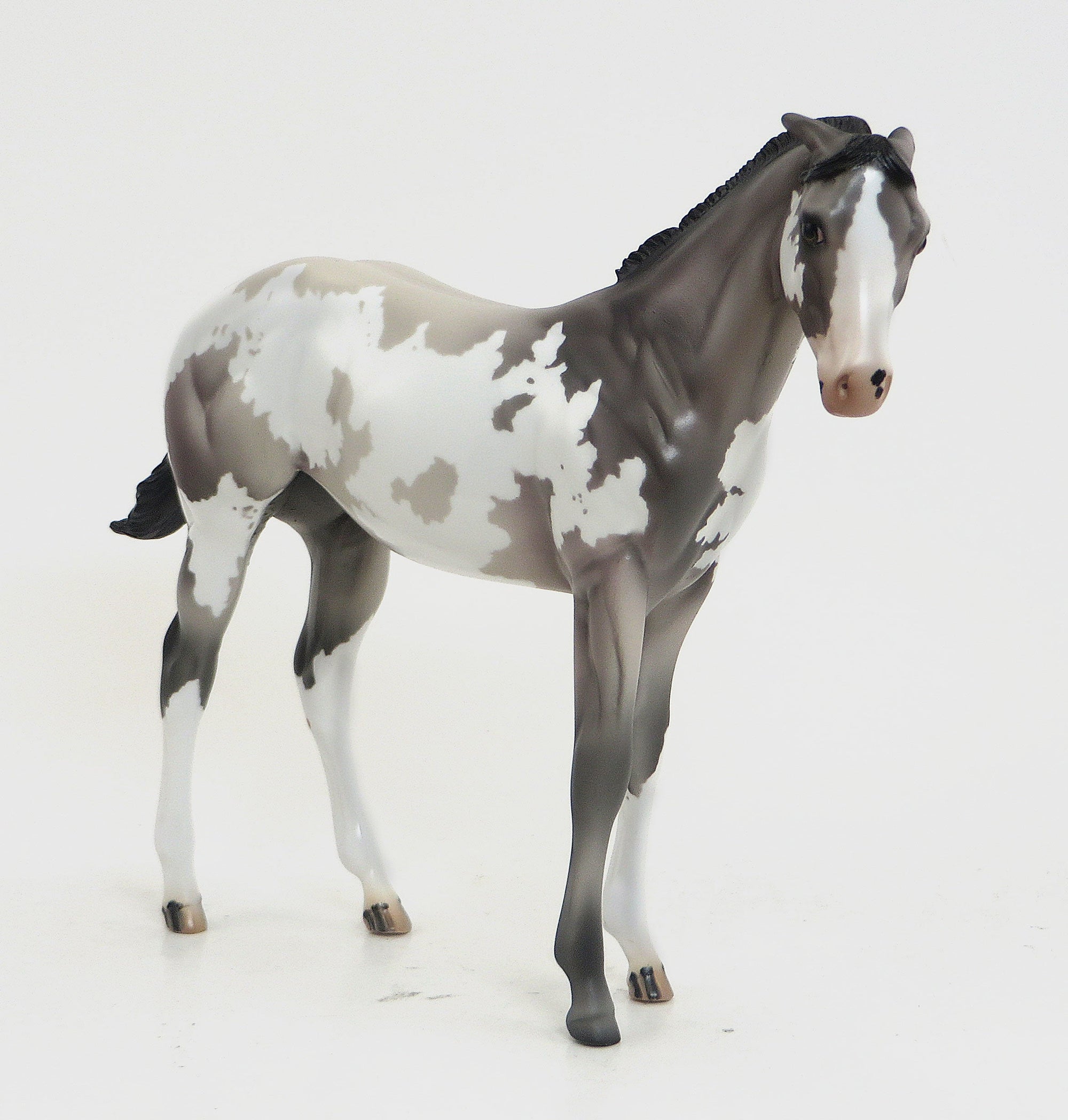 WINNIE- OOAK GREY PINTO WEANLING MODEL HORSE WITH PINNED EARS