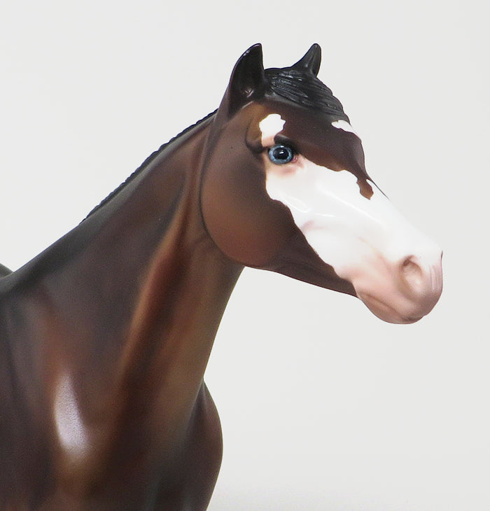 OASIS - OOAK Bay Paint Spanish Mustang Model Horse - 11/13