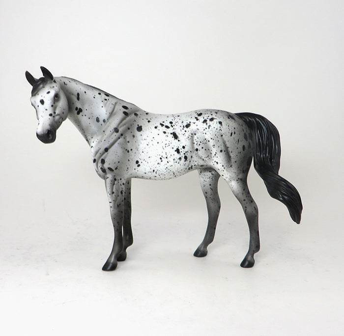Fiona appaloosa