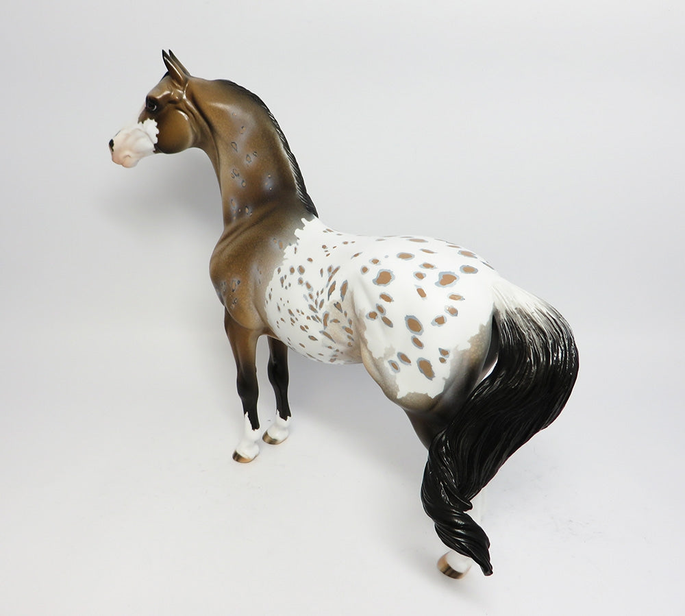 Appaloosa