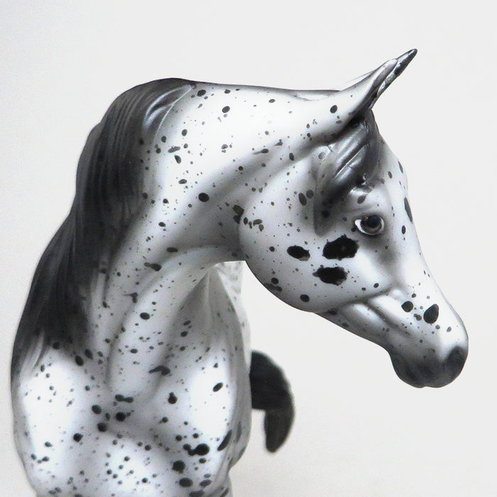 one of a kind appaloosa pebbles