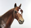 chestnut 