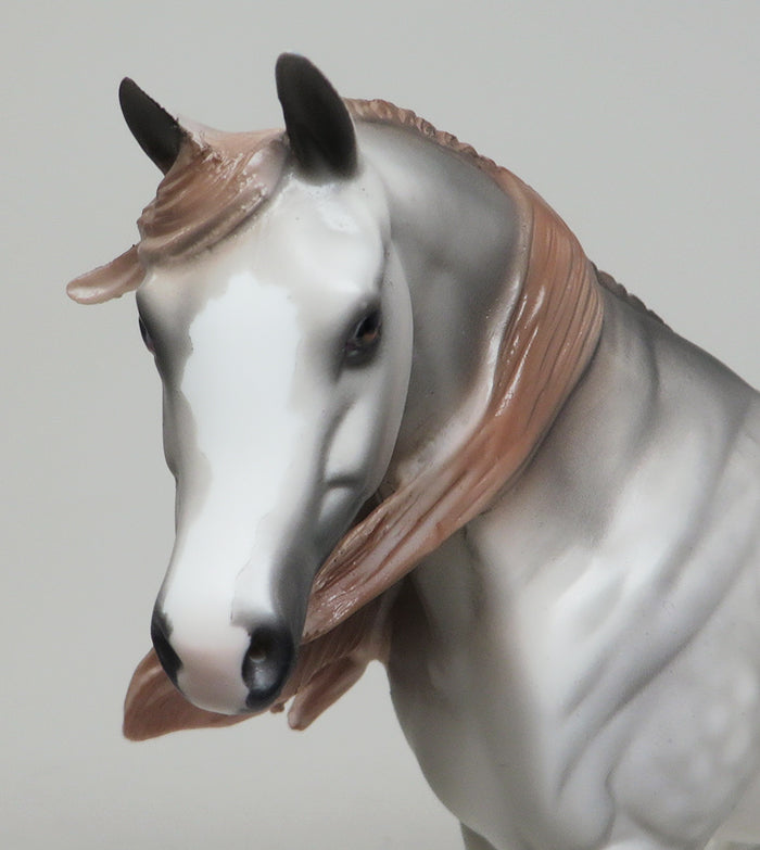 ARABIAN HORSE