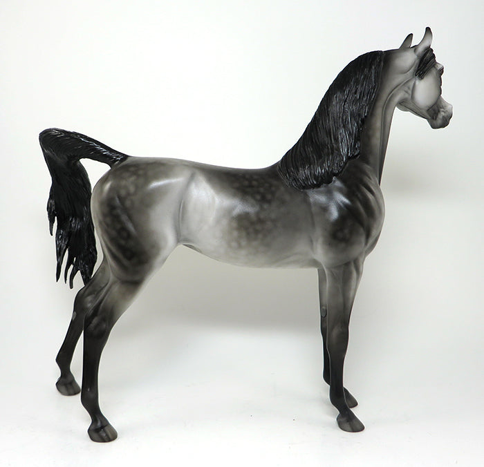 dapple grey arabian