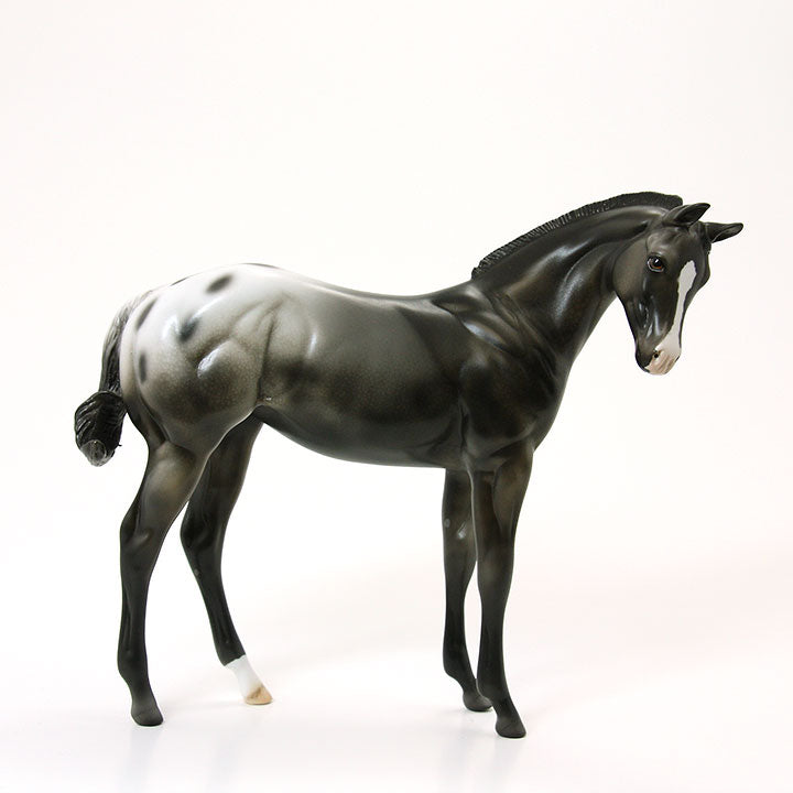 MANX - Blanket Appaloosa Weanling Model Horse - LE2 - 5/15