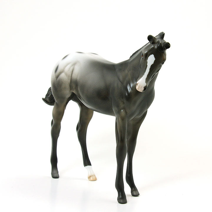 MANX - Blanket Appaloosa Weanling Model Horse - LE2 - 5/15