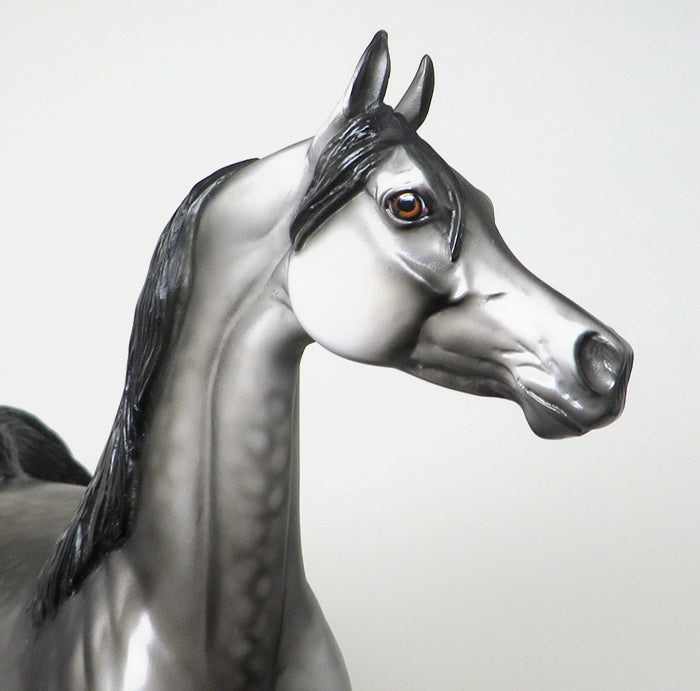 DYNAMIC IN BLUE-OOAK DAPPLE GREY ARABIAN MODEL HORSE 12/29