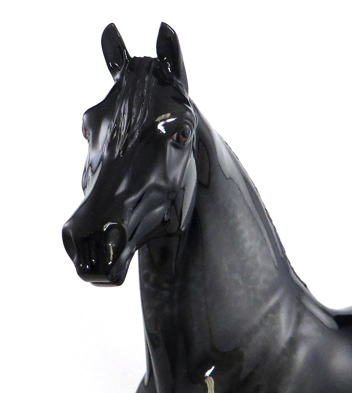 Black Model Horse