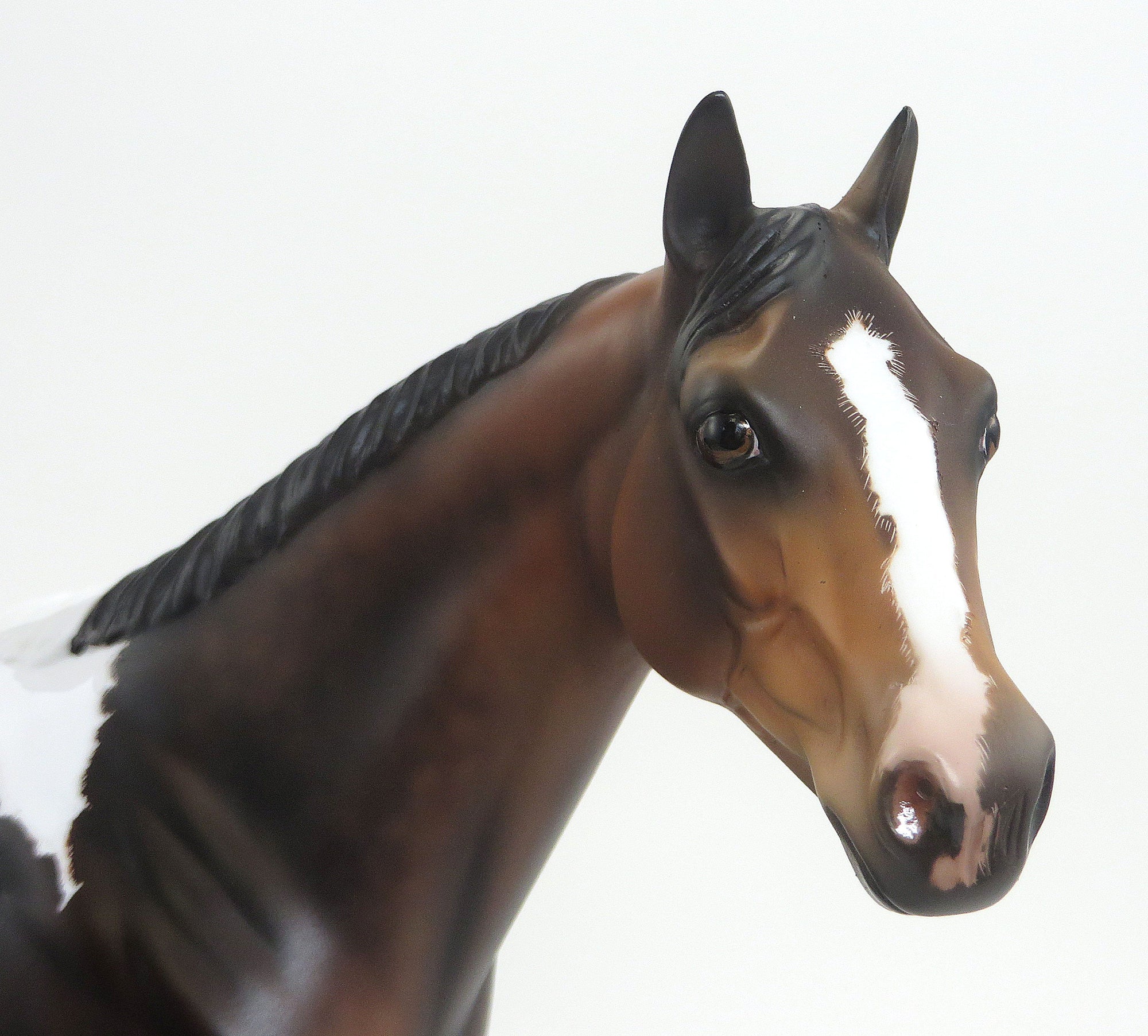 BEESWAX - Dark BAY PAINT-ISH- LE-6- 9/11