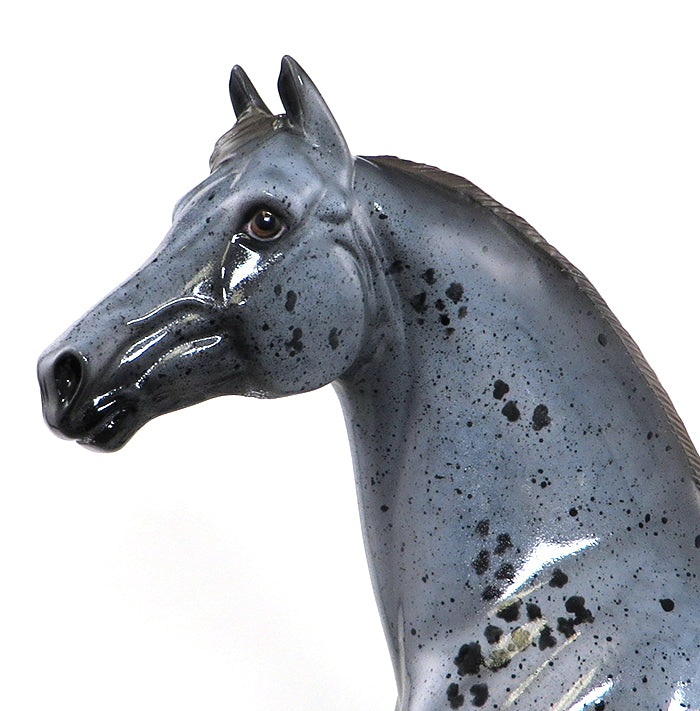 J-CAT - OOAK Roan Appaloosa Morgan Model Horse - 11/13