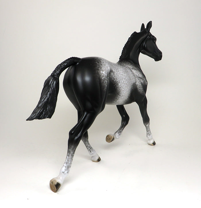 OOAK LACY APPALOOSA