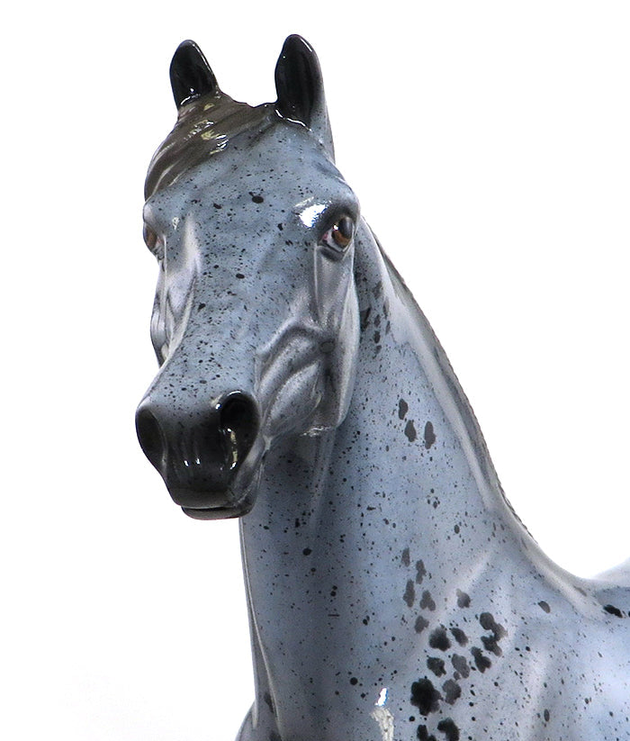 J-CAT - OOAK Roan Appaloosa Morgan Model Horse - 11/13