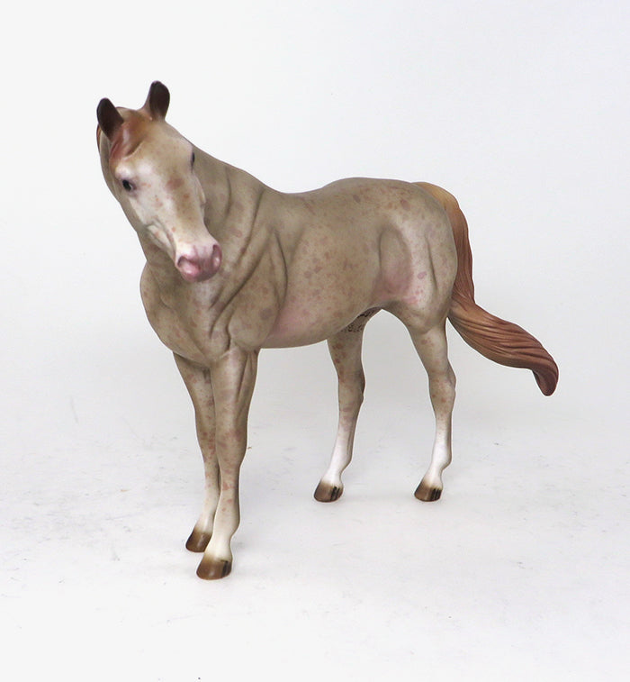 Light Roan Chestnut Appaloosa
