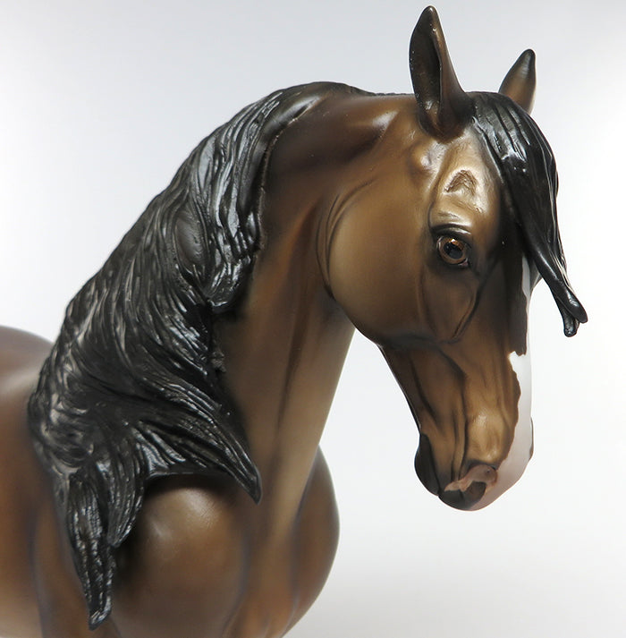 peter stone andalusian 