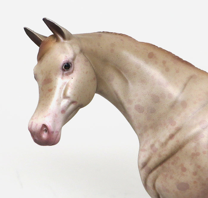 Chestnut Appaloosa Pebbles