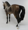 buckskin andalusian