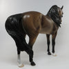 andalusian 