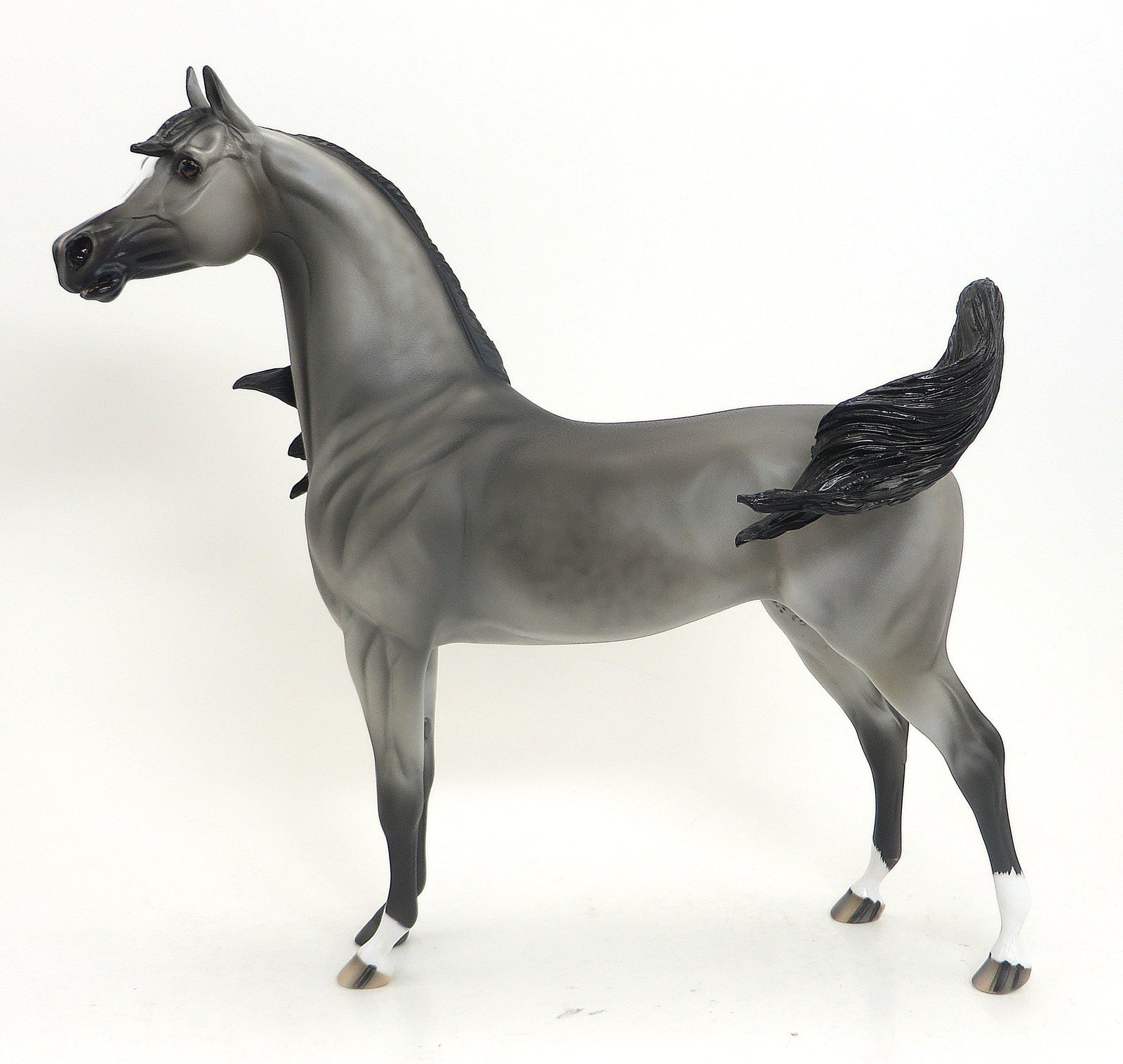 STORMEY- OOAK Dappled Grey W/ Black Points Arabian 9/11