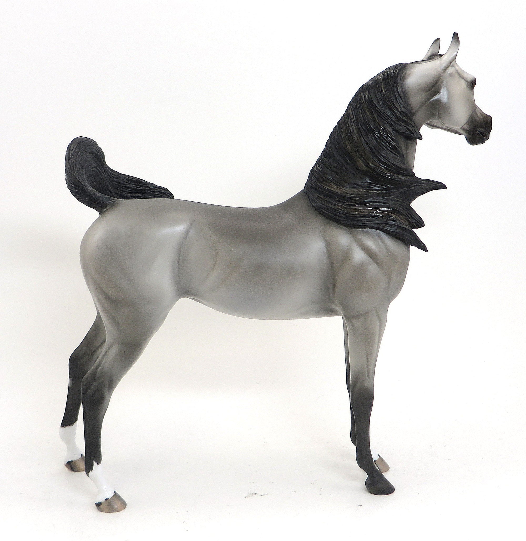 STORMEY- OOAK Dappled Grey W/ Black Points Arabian 9/11