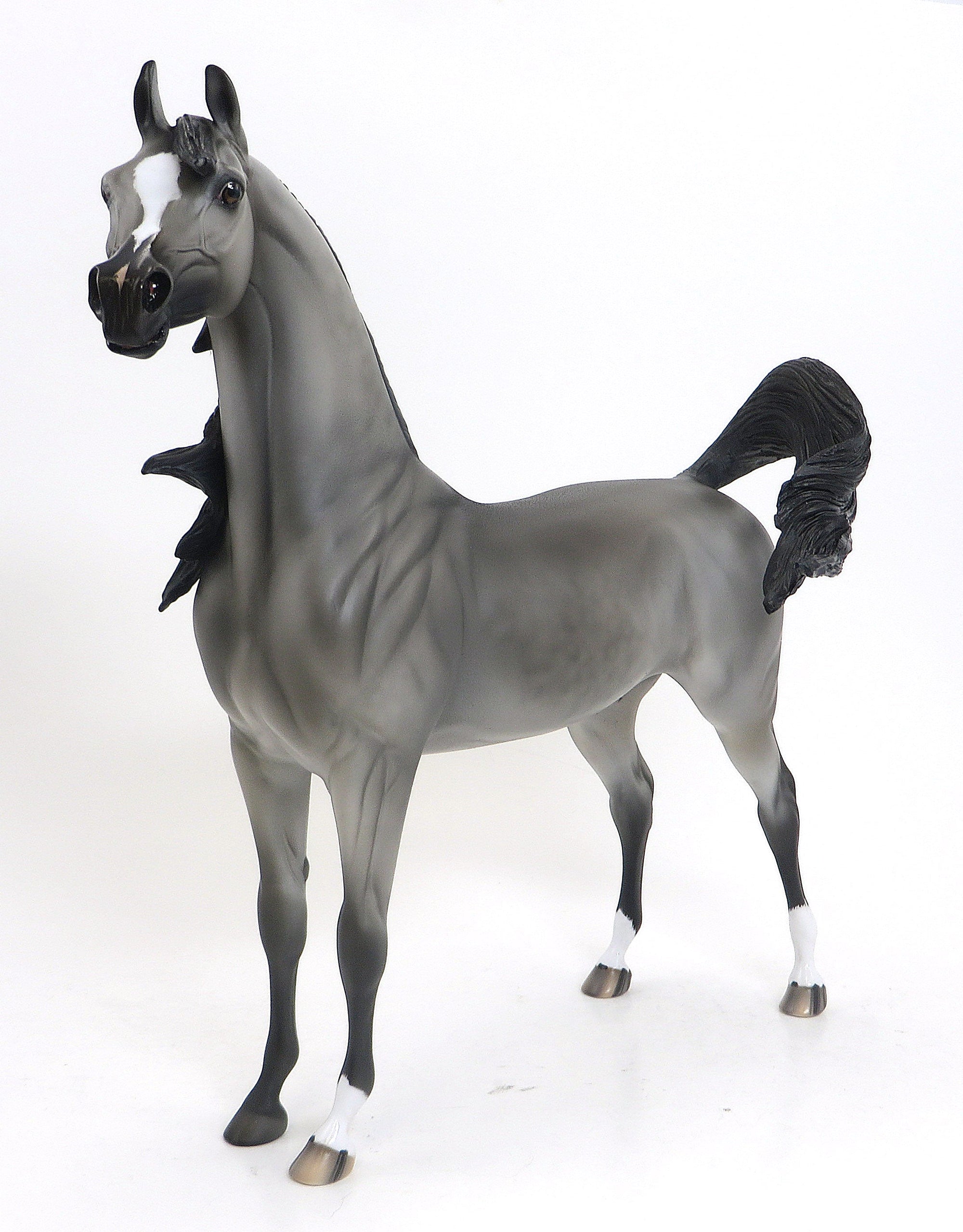 STORMEY- OOAK Dappled Grey W/ Black Points Arabian 9/11