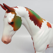 MAPLE SENSATION-OOAK FALL DECORATOR PONY MODEL HORSE 11/2/17