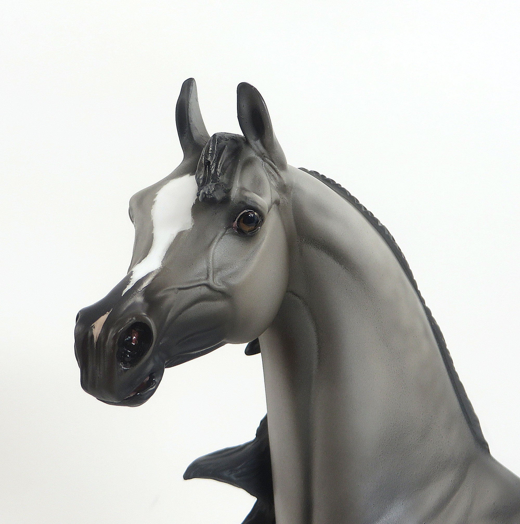 STORMEY- OOAK Dappled Grey W/ Black Points Arabian 9/11