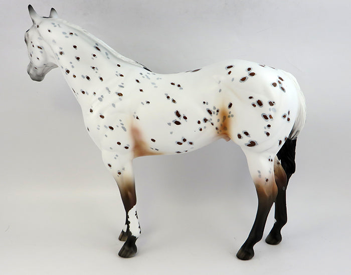Appaloosa
