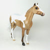 SUNNY GO - OOAK Palomino Paint Spanish Mustang Model Horse - 11/13