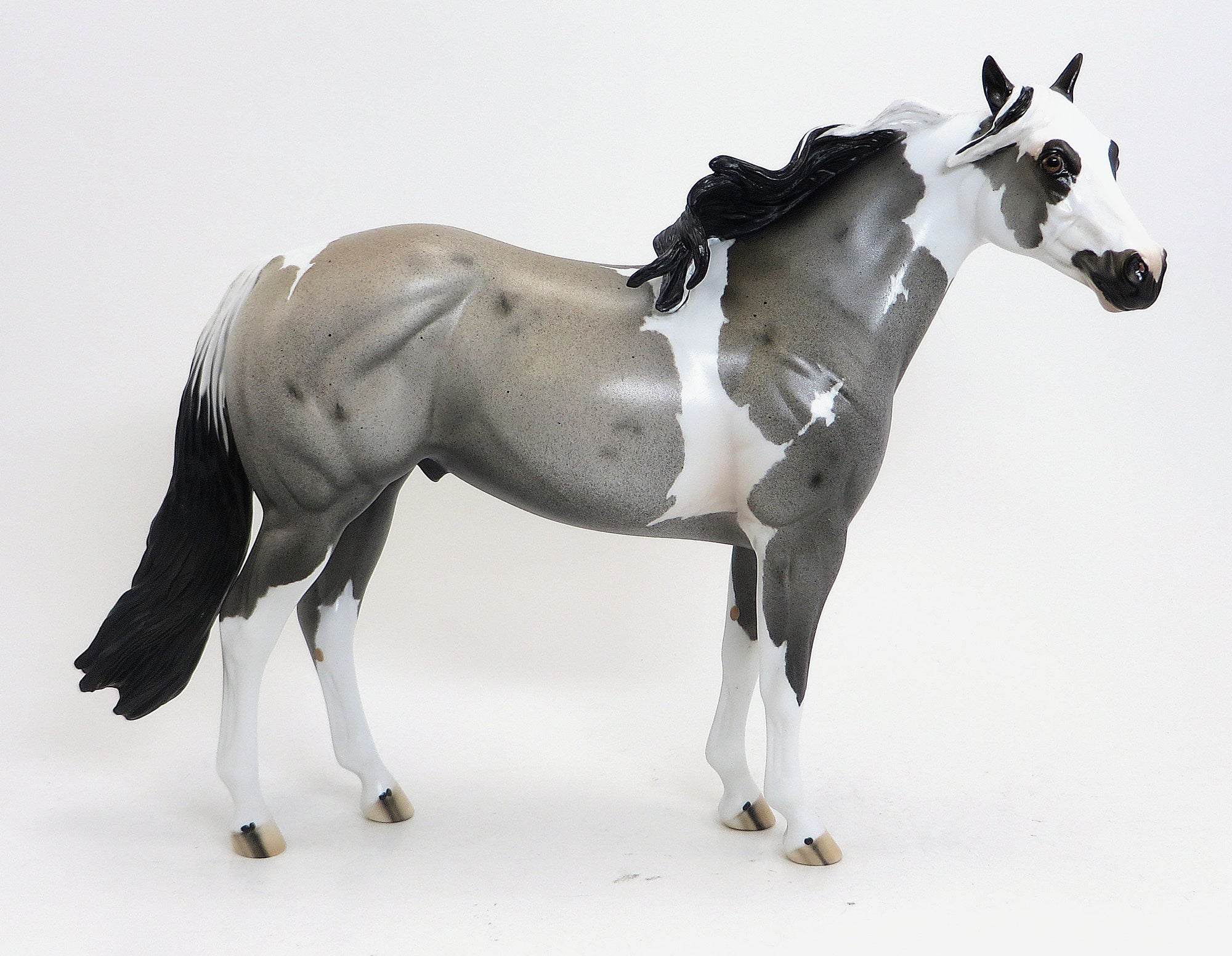 KITCHI - OOAK Blue Roan Paint - 9/4