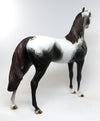 APPALOOSA