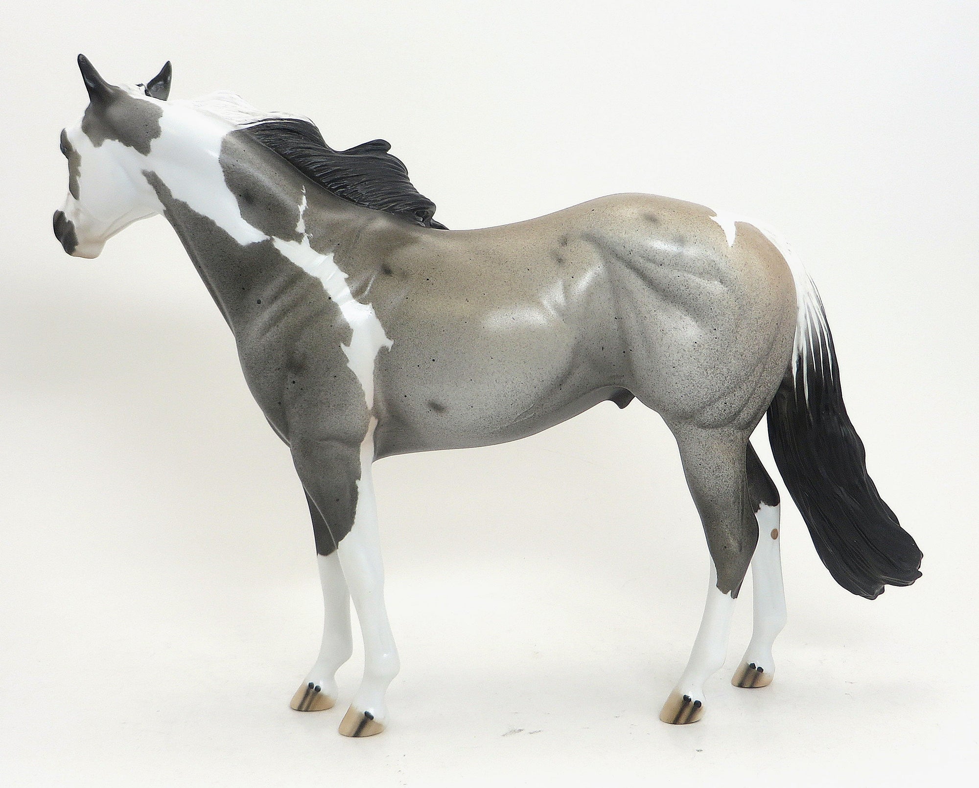 KITCHI - OOAK Blue Roan Paint - 9/4