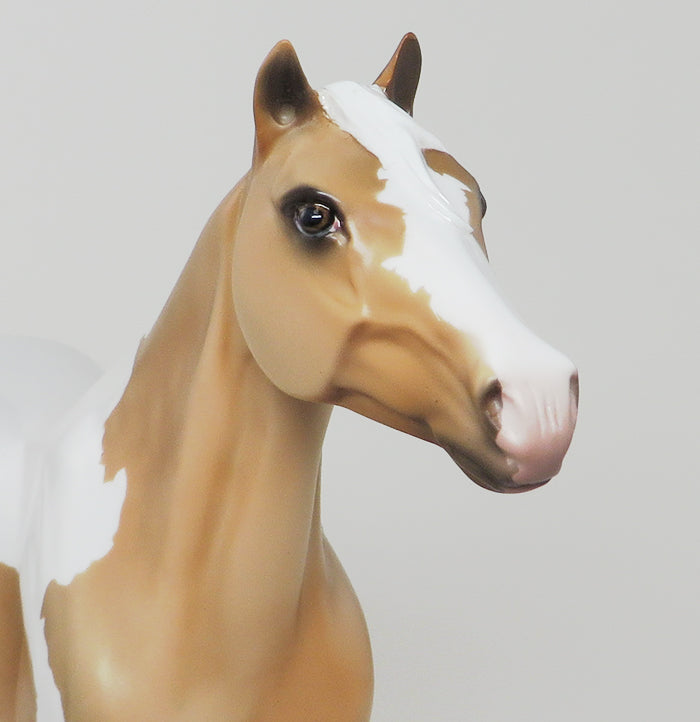 SUNNY GO - OOAK Palomino Paint Spanish Mustang Model Horse - 11/13