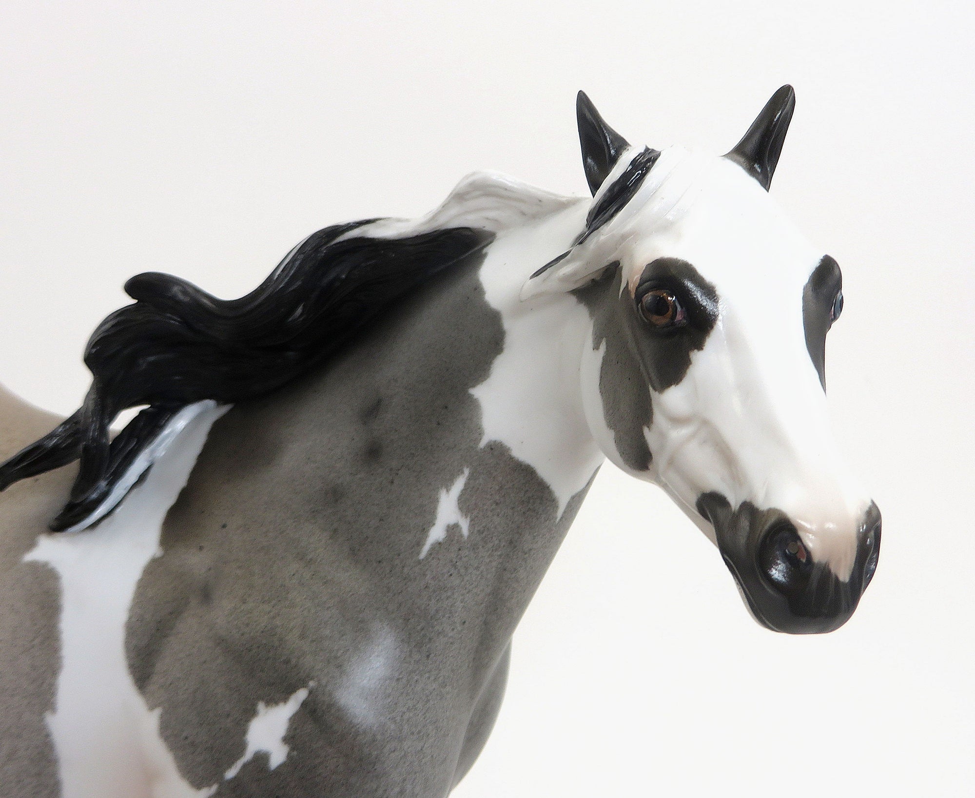 KITCHI - OOAK Blue Roan Paint - 9/4