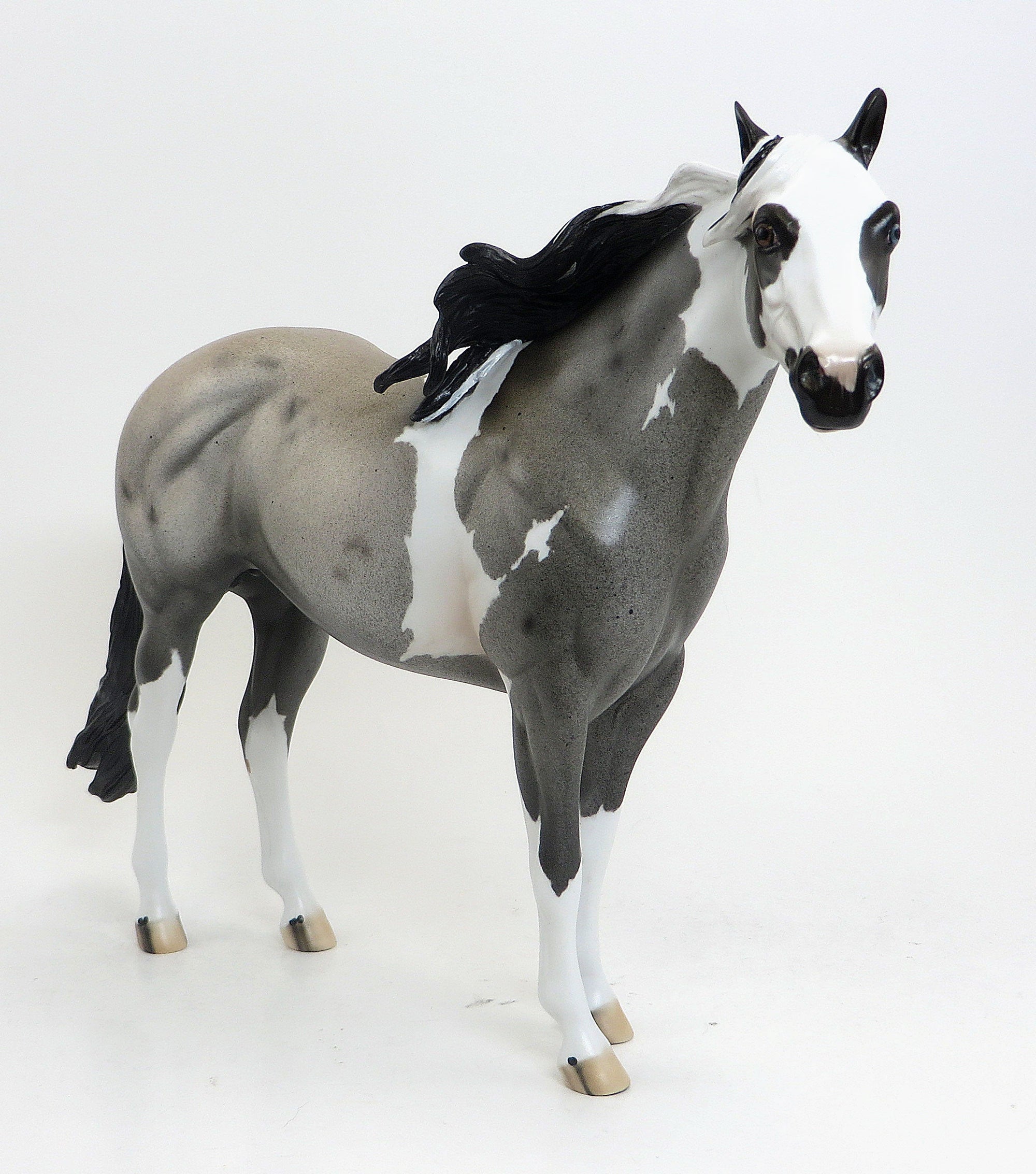 KITCHI - OOAK Blue Roan Paint - 9/4