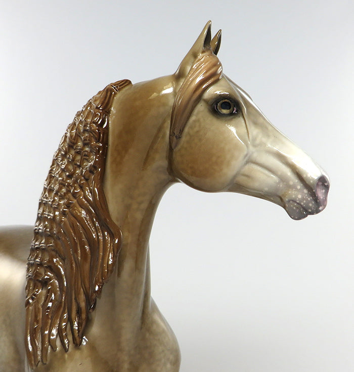 peter stone champagne