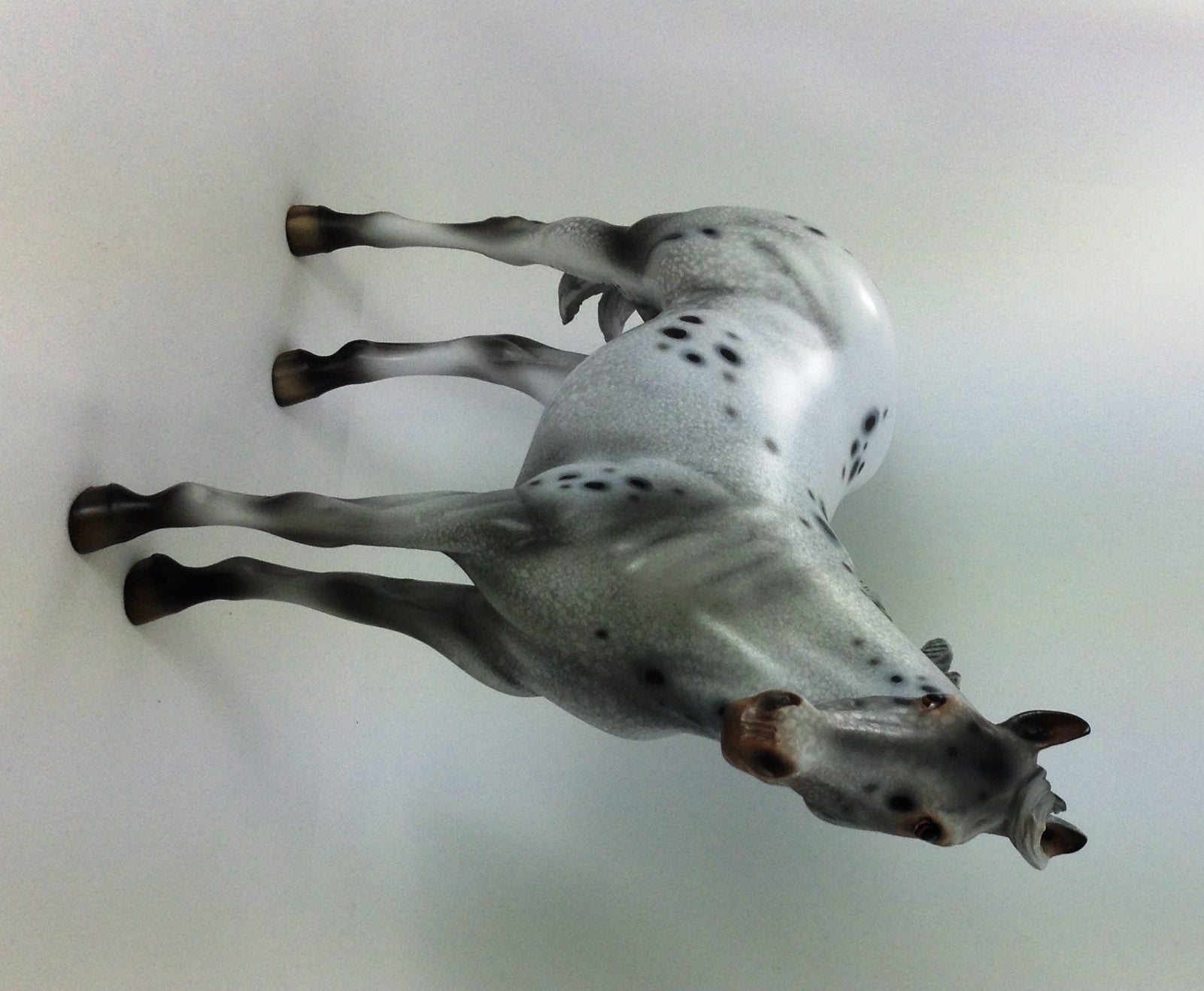 SPOTACIOUS - OOAK CUSTOM ISH