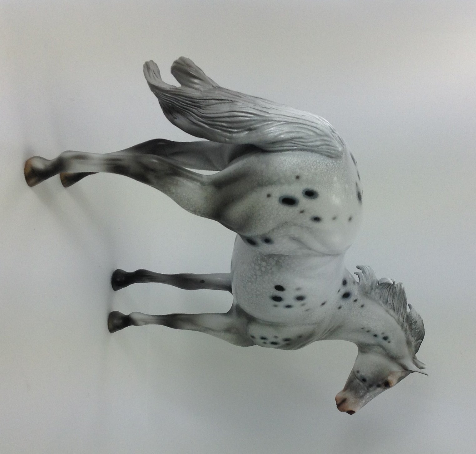 SPOTACIOUS - OOAK CUSTOM ISH