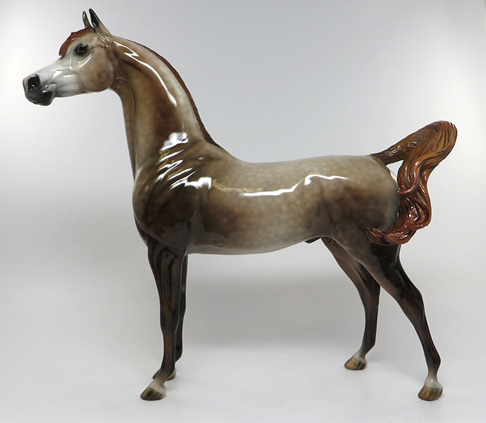cruz arabian