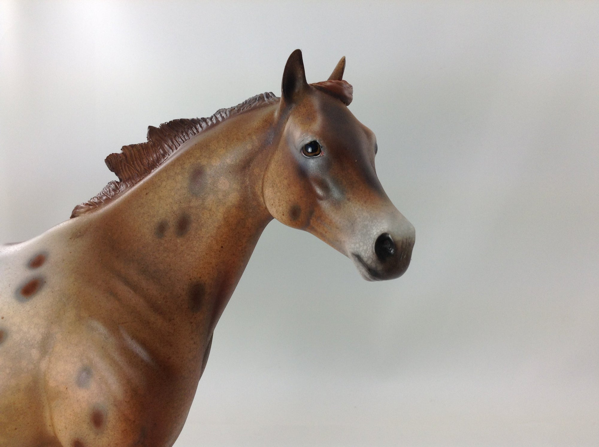 SPOTASTIC - OOAK CUSTOM ISH