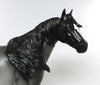 appaloosa