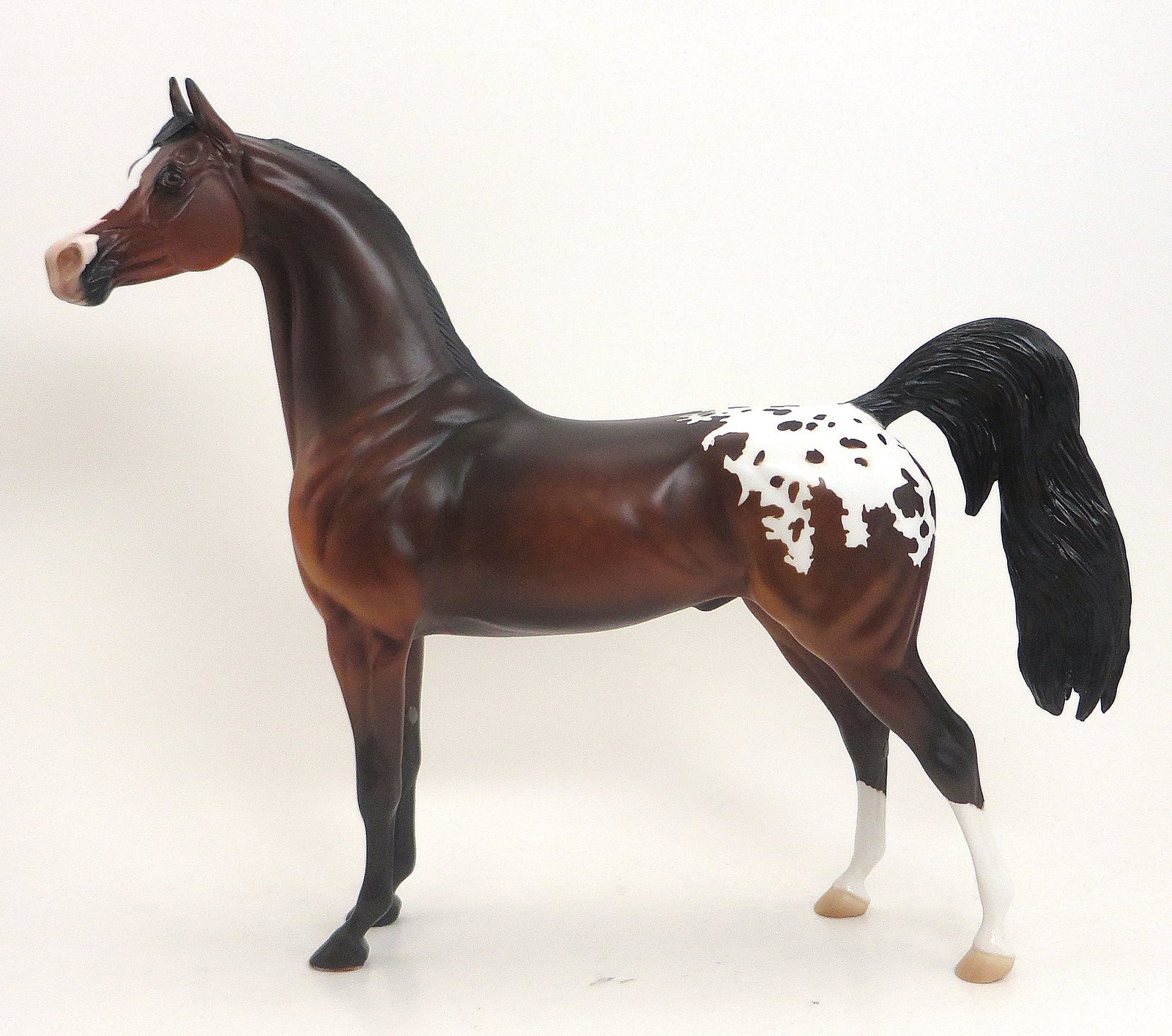 ANONA- OOAK Dappled Bay Blanket Appaloosa Arabian 9/11