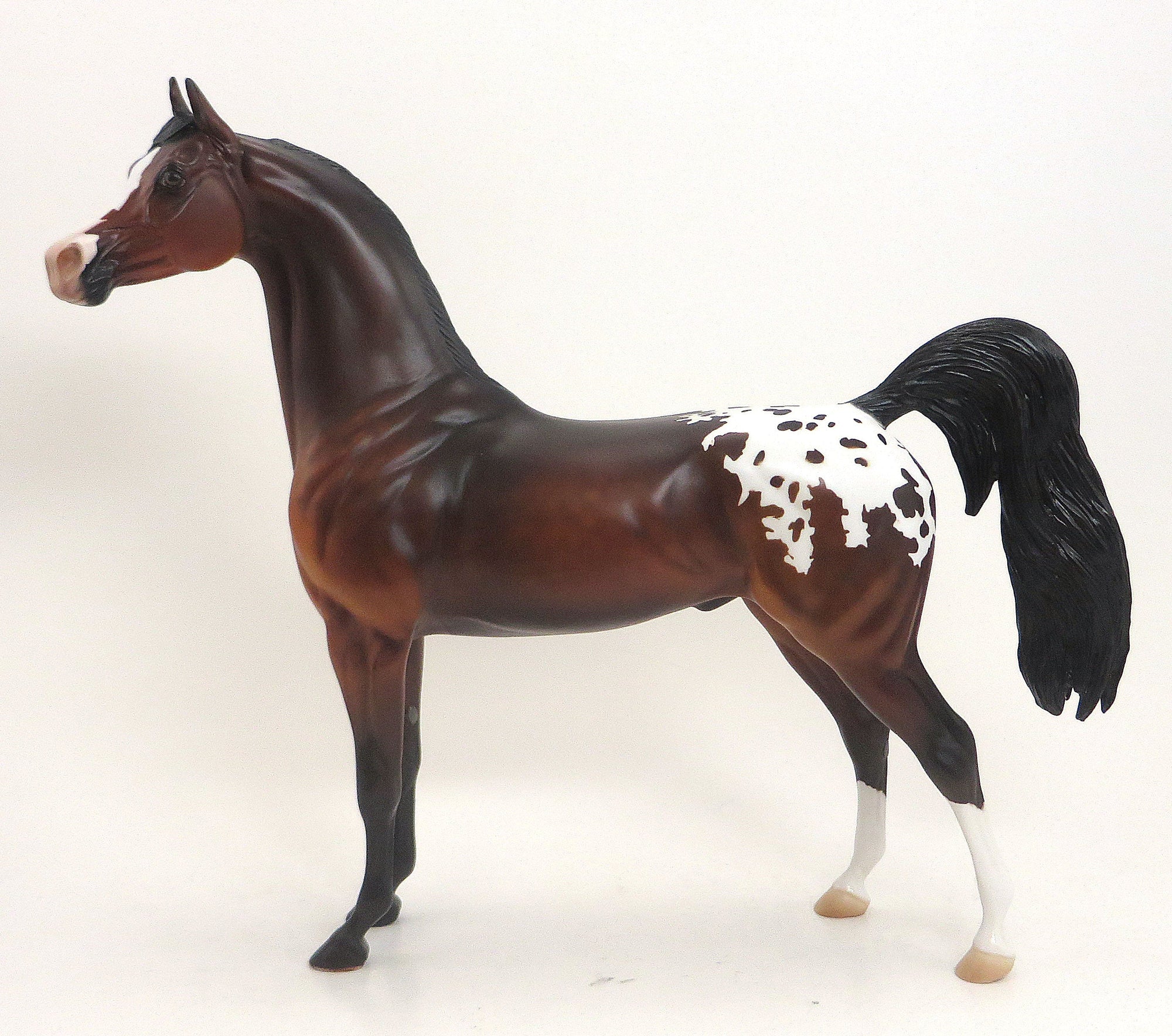 ANONA- OOAK Dappled Bay Blanket Appaloosa Arabian 9/11